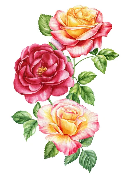 Sada Akvarelových Květinových Ilustrací Pro Svatební Pozvání Narozeniny Přání Design — Stock fotografie