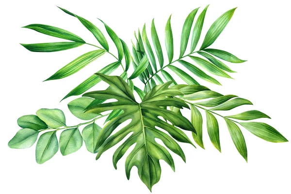 Grüne Palmenblätter Auf Isoliertem Weißem Hintergrund Flora Handzeichnung Aquarell Tropische — Stockfoto