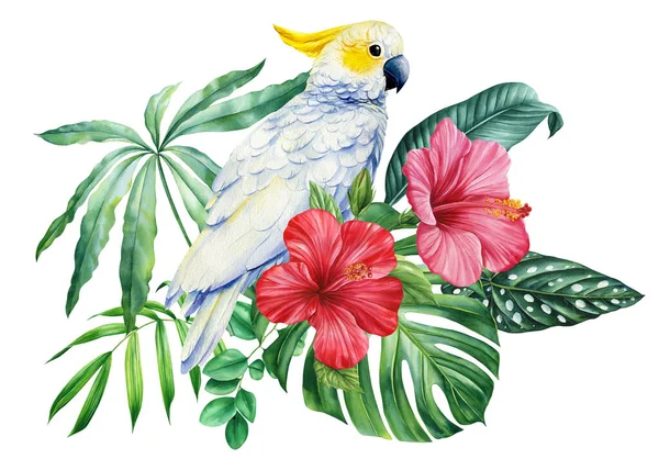 美丽的热带鸟鹦鹉 花和叶子在孤立的背景中 水彩画手绘 高质量的例证 — 图库照片