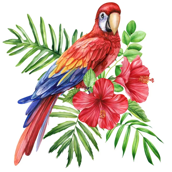 Vacker Tropisk Fågel Macaw Papegoja Blommor Och Blad Isolerad Vit — Stockfoto