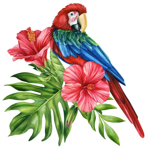 Прекрасная Тропическая Птица Попугай Ара Цветы Лист Изолированном Белом Фоне — стоковое фото