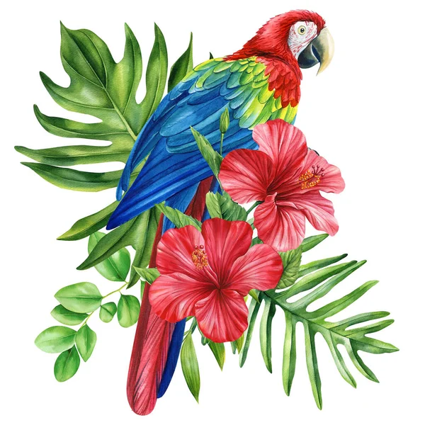 美丽的热带鸟鹦鹉 花和叶子在孤立的白色背景 水彩画手绘 高质量的例证 — 图库照片