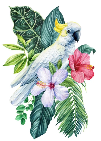 美丽的热带鸟鹦鹉 花和叶子在孤立的背景中 水彩画手绘 高质量的例证 — 图库照片