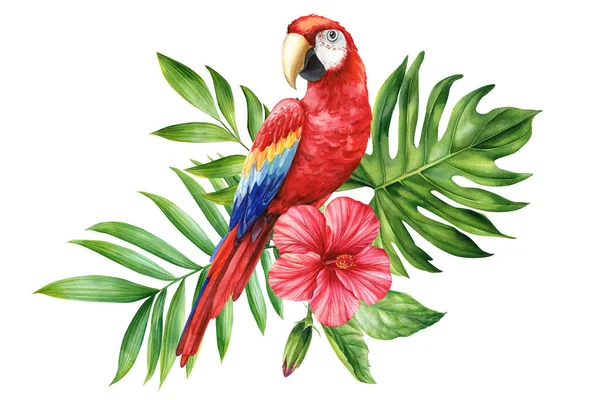 Gyönyörű Trópusi Madár Papagáj Virág Levél Elszigetelt Fehér Háttérrel Akvarell — Stock Fotó