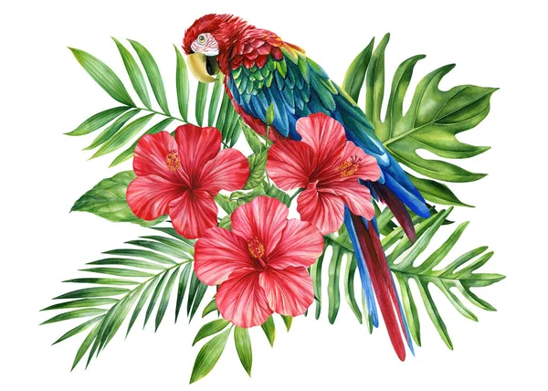 美丽的热带鸟鹦鹉 花和叶子在孤立的白色背景 水彩画手绘 高质量的例证 — 图库照片
