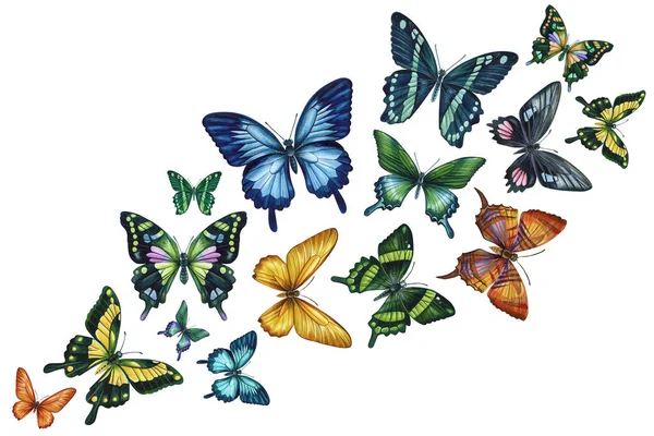 Bella Farfalla Esotica Volare Isolato Sfondo Bianco Illustrazione Disegnata Mano — Foto Stock