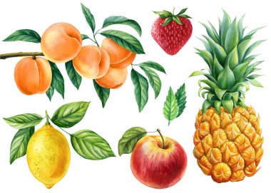 Meyve seti, limon, elma, çilek, ananas ve şeftali beyaz arka planda izole edilmiş. Suluboya el çizimi. Yüksek kaliteli illüstrasyon