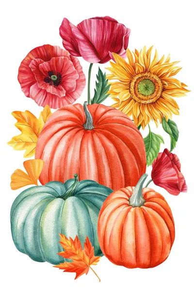 Uppsättning Höst Pumpor Blommor Och Blad Målade För Hand Akvarell — Stockfoto