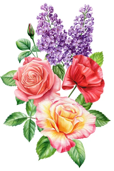 Бузковий Троянди Квіти Листя Ізольовані Білому Тлі Акварель Рука Малює — стокове фото