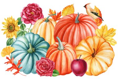 Sonbahar balkabakları, çiçekler ve yapraklar beyaz arka planda izole edilmiş suluboya ile elle boyanmış. Yüksek kaliteli illüstrasyon