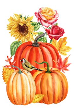 Sonbahar balkabakları, çiçekler ve yapraklar beyaz arka planda izole edilmiş suluboya ile elle boyanmış. Yüksek kaliteli illüstrasyon