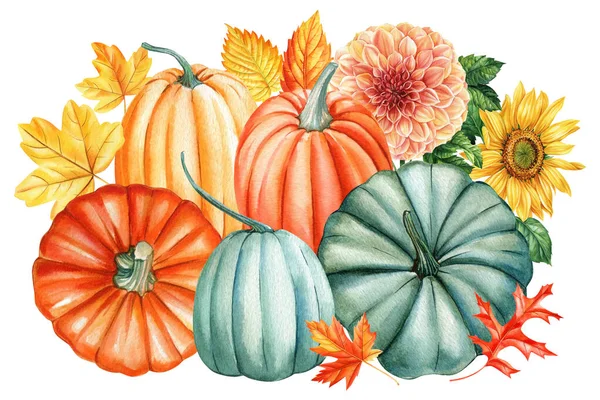白地に孤立した水彩画に手描きで描かれた秋のカボチャと花と葉のセット 高品質のイラスト — ストック写真