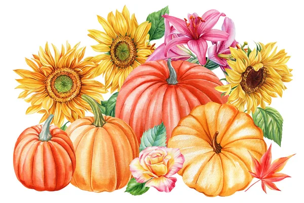 秋天的南瓜 花和树叶都是用手绘的 水彩画在白色的背景上 高质量的例证 — 图库照片