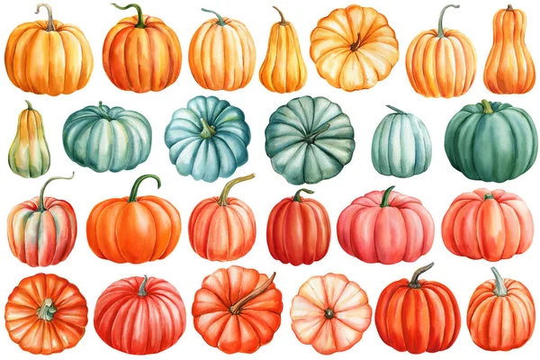 Dýně Kliparty Podzimní Dýně Set Izolovaném Bílém Pozadí Akvarel Ilustrace — Stock fotografie