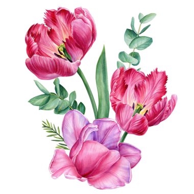 Beyaz arka planda izole edilmiş güzel çiçekler. Suluboya ile çizilmiş, bir buket narin çiçek. Yüksek kaliteli illüstrasyon