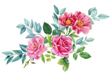 Beyaz arka planda izole edilmiş güzel çiçekler. Suluboya ile çizilmiş, bir buket narin çiçek. Yüksek kaliteli illüstrasyon