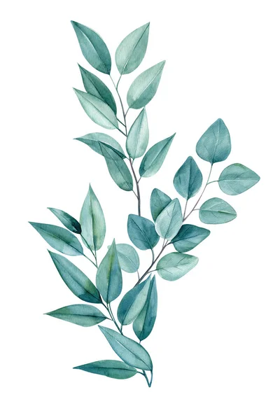 ユーカリ 招待状 カード デザインのための水彩イラストの葉の花束 白い背景に緑の葉 高品質のイラスト — ストック写真
