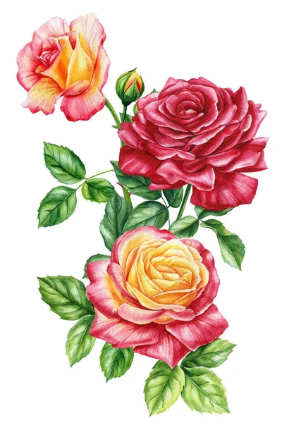 Květiny Izolované Bílém Pozadí Kytice Květin Akvarel Květinové Ilustrace Pro — Stock fotografie