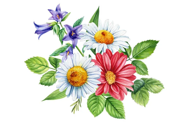 Flores Aisladas Sobre Fondo Blanco Ramo Flores Acuarela Ilustraciones Florales — Foto de Stock