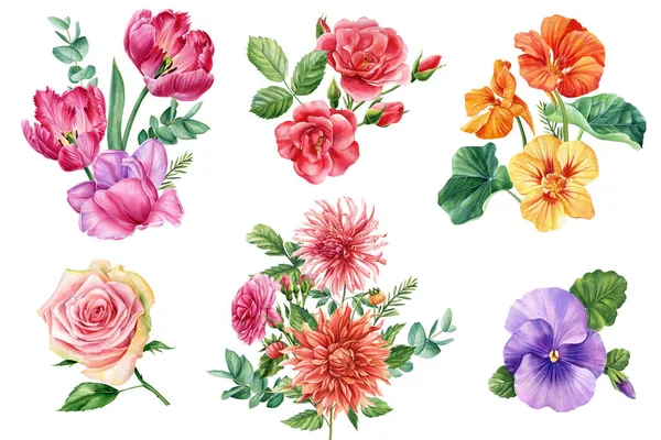 Vackra Blommor Som Isolerad Vit Bakgrund Handritad Akvarell Levande Bukett — Stockfoto