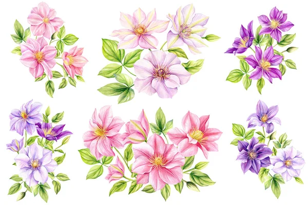 클레멘츠의 꽃들은 배경에 분리되어 디자인을 꽃무늬 질높은 — 스톡 사진