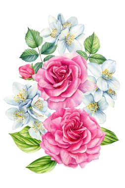 Çiçek ve yaprak. Beyaz arka planda izole bir çiçek seti, suluboya el çizimi, klasik tarz. Yüksek kaliteli illüstrasyon