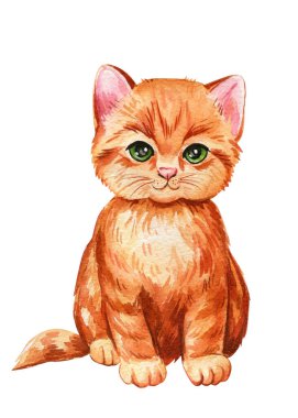 Sevimli kedicik el çizimi, izole edilmiş beyaz arka planda kırmızı kedi. Suluboya çizimi. Yüksek kaliteli illüstrasyon