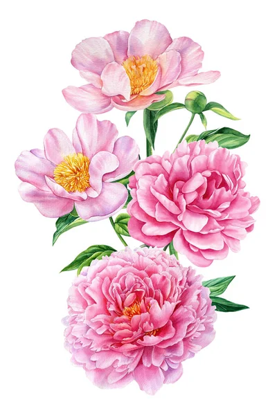 배경에 수채화가 꽃가루받이가 분홍빛 꽃다발을 이룬다 질높은 — 스톡 사진