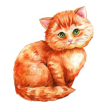 Turuncu kedicik el çizimi, izole edilmiş beyaz arka planda kırmızı kedi. Tatlı suluboya kedi resmi. Yüksek kaliteli illüstrasyon