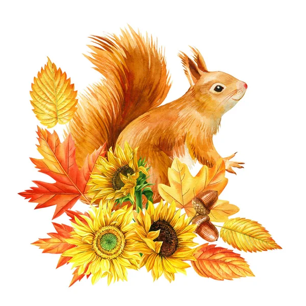 Őszi Összeállítás Aranyos Gyömbér Cica Virágok Napraforgó Akvarell Kézzel Rajz — Stock Fotó