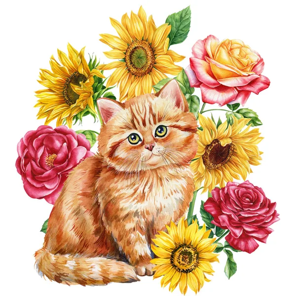 Watercolor Kitten Flowers Roses Sunflowers Hand Drawing Cat Illustration Autumn — Stock Photo, Image