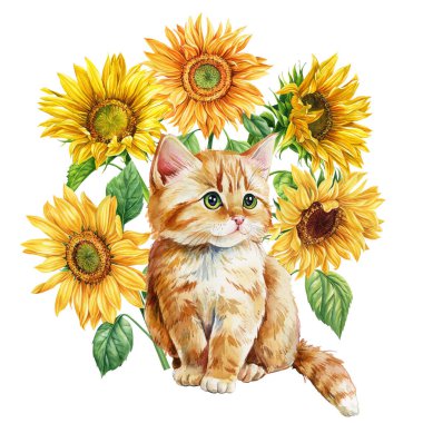 Tatlı zencefilli kedi yavrusu, çiçekler ayçiçekleri, suluboya el çizimleri. Sonbahar kompozisyonu, mutlu hayvan. Yüksek kaliteli illüstrasyon