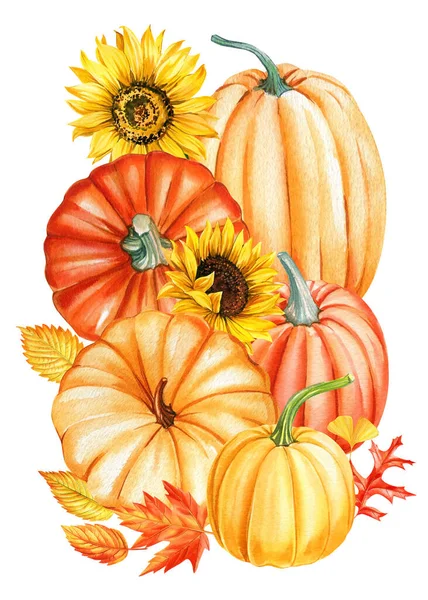 向日葵和南瓜在一个孤立的白色背景 水彩画 手绘南瓜 秋天的艺术高质量的例证 — 图库照片