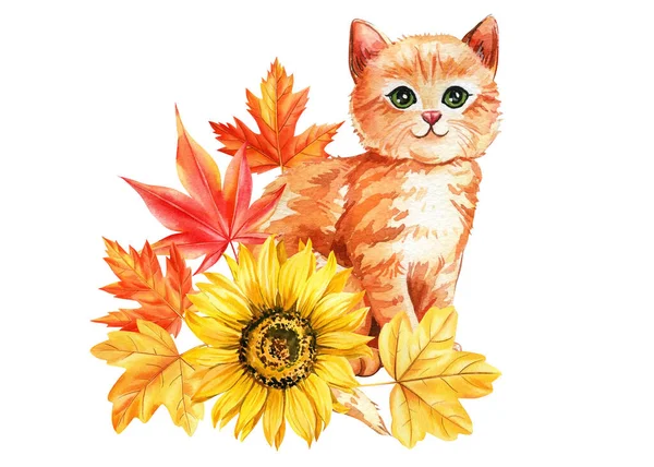 Χαριτωμένο Τζίντζερ Γάτα Φύλλα Σφενδάμου Και Λουλούδια Ηλιοτρόπια Ακουαρέλα Χέρι — Φωτογραφία Αρχείου
