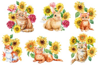 Tatlı zencefilli kedi yavrusu, çiçekler ayçiçekleri, suluboya el çizimleri. Sonbahar kompozisyonu, mutlu hayvan. Yüksek kaliteli illüstrasyon