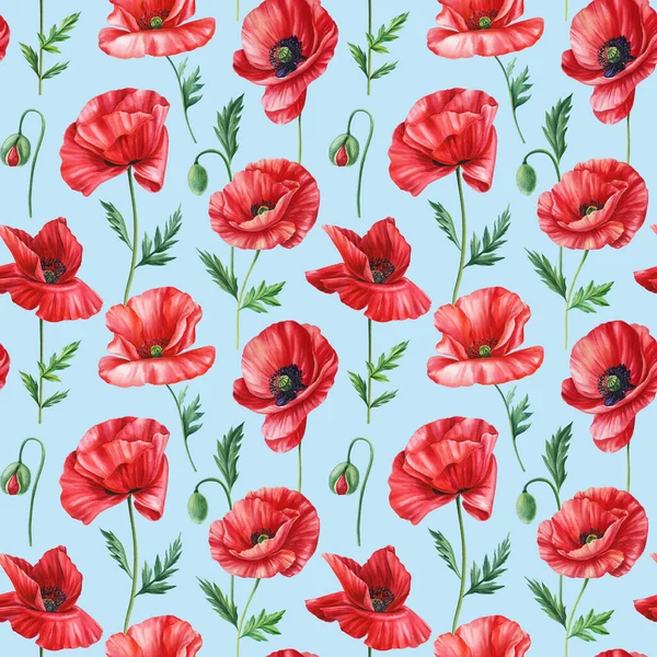 Haşhaş Yaz Geçmişi Kırmızı Çiçekli Suluboya Desenli Kusursuz Çiçek Deseni — Stok fotoğraf