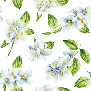 Suluboya yasemin pürüzsüz desen. Tekstil, iç mekan, kıyafet ve duvar kâğıdı için kusursuz çiçek tasarımı. Yüksek kaliteli illüstrasyon