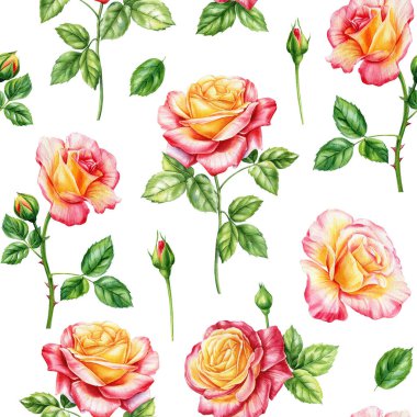 Suluboya güller pürüzsüz desen. Duvar kağıtları, kartpostallar, tebrik kartları, düğün kartları için Flora. Yaz arkaplanı. Yüksek kaliteli illüstrasyon