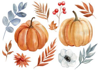 Suluboya balkabağı, çiçekler ve ağaç yaprakları. Vintage Fall botanik klipsi. El boyaması çizim seti. Yüksek kaliteli illüstrasyon