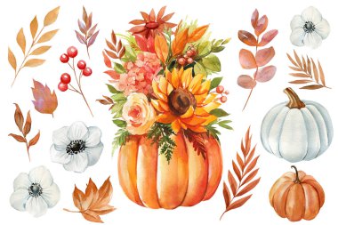 Suluboya balkabağı, çiçekler ve ağaç yaprakları. Vintage Fall botanik klipsi. El boyaması çizim seti. Yüksek kaliteli illüstrasyon