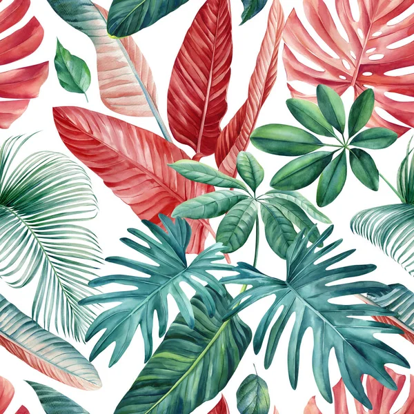 Egzotik Palmiye Yaprakları Olan Tropik Pürüzsüz Bir Desen Tropikal Yaprakların — Stok fotoğraf
