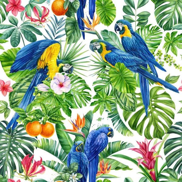 Padrão Sem Costura Tropical Com Folhas Palma Exóticas Pássaros Papagaios — Fotografia de Stock