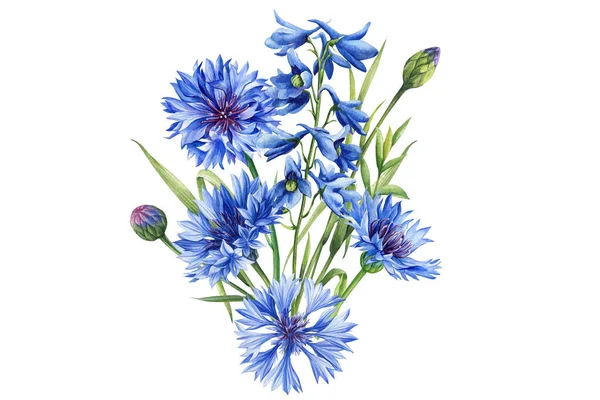 Blue Flower Watercolor Hand Drawing Flora Botanical Illustration Cornflower Delphinium — Stock Photo, Image