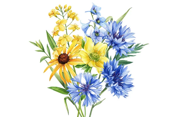 Bouquet of wildflowers, watercolor botanical illustration. Colorful floral illustration. clover, rapeseed, cornflower, delphinium. High quality illustration