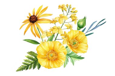 Sarı kır çiçeğiyle yaz seti. Gül, zambak, haşhaş ve çiçek, kart için suluboya flora resmi, tasarım. Yüksek kaliteli illüstrasyon