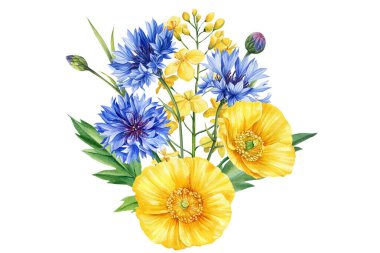 Sarı ve mavi kır çiçekli yaz seti. Gül, zambak, haşhaş ve çiçek, kart için suluboya flora resmi, tasarım. Yüksek kaliteli illüstrasyon
