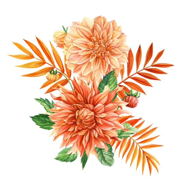 Dahlia and autumn orange leaves. Flower bouquet isolated on white background. Watercolor hand drawing flora design. High quality illustration