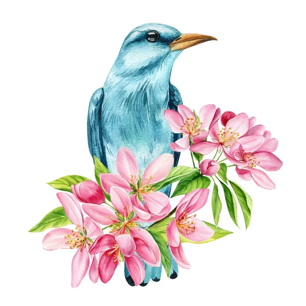 Güzel elma ağacı çiçekleri ve dalda parlak bir kuş, izole edilmiş beyaz arka plan, suluboya botanik resim. Yüksek kaliteli illüstrasyon