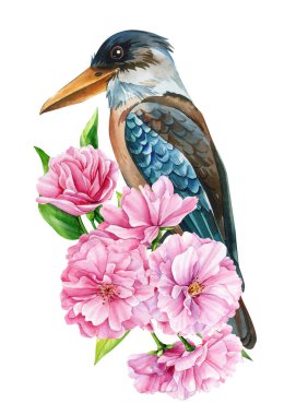 Güzel elma ağacı çiçekleri ve dalda parlak bir kuş, izole edilmiş beyaz arka plan, suluboya botanik resim. Yüksek kaliteli illüstrasyon