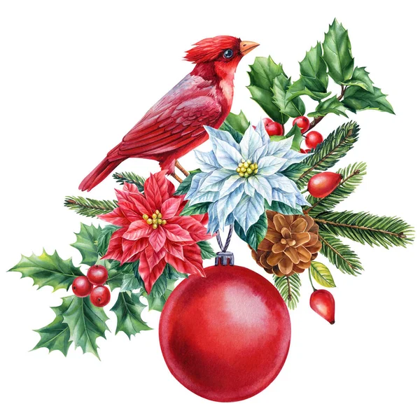 Roter Kardinal Weihnachtsblumen Und Stechpalme Zweig Aquarell Vogel Illustration Isoliert — Stockfoto